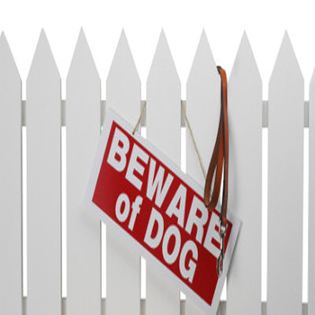 dog attack personal injury